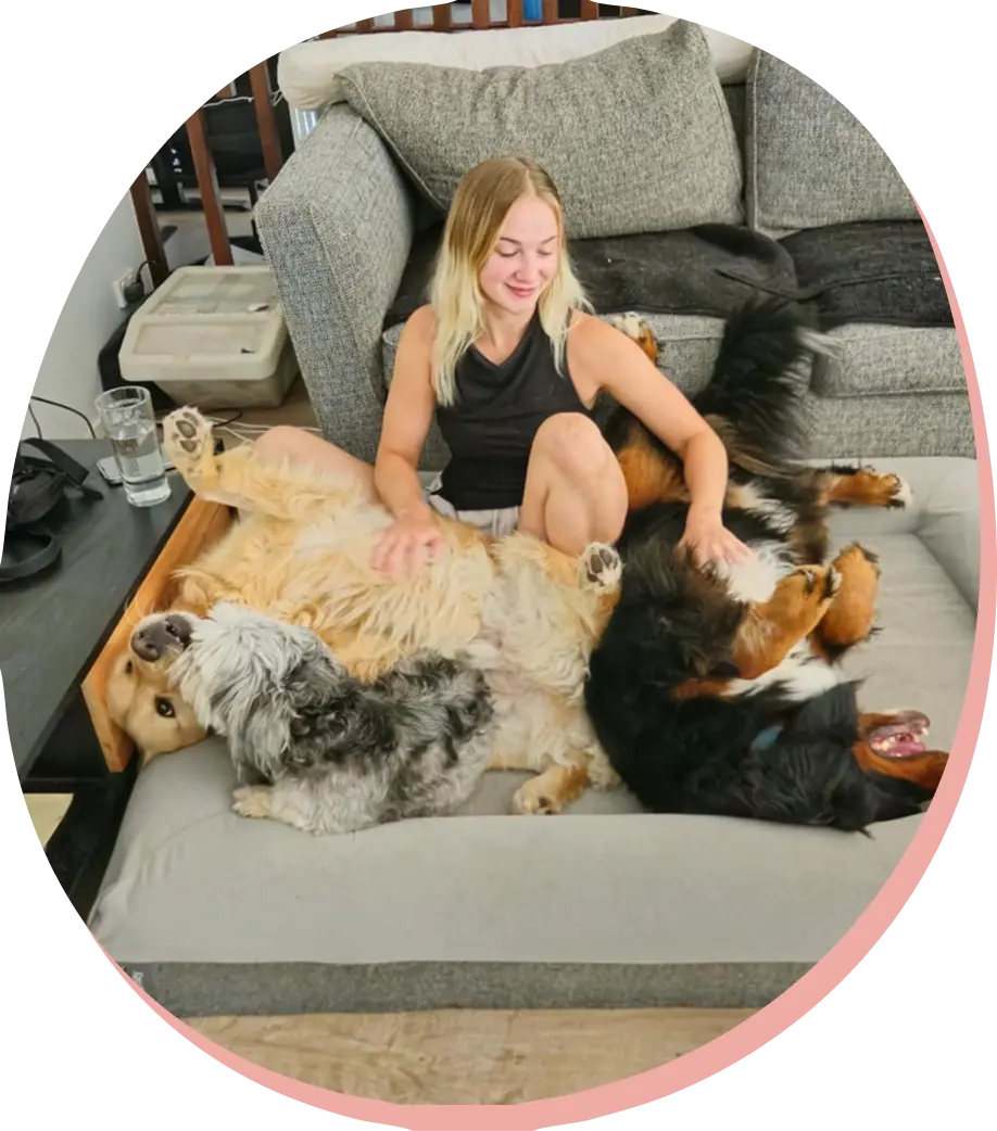 ceri and a bunch of dogs playing.webp