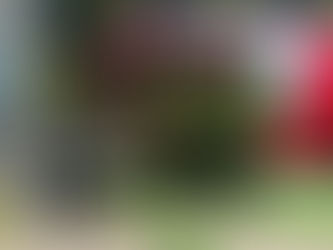 Gruppenübung: Heißausbildung im Brandhaus