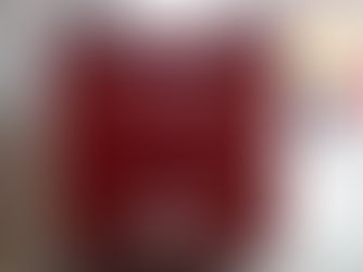 Modul Sonderdienst Waldbrandekämpfung