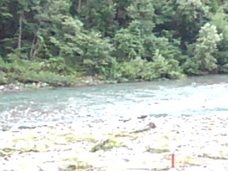 ２０２２年８月２０日　雨です　１９時更新