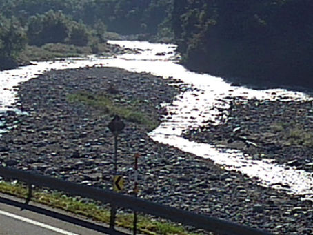 2024年9月14日 昨晩の雨は影響なし 釣果更新