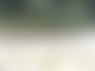 2022年9月16日 今日も友釣りできます