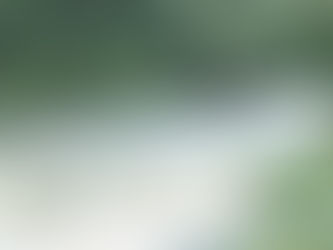 2023年7月25日 国道471号葛山の工事で22時~5時まで時間通行止めです 釣果更新