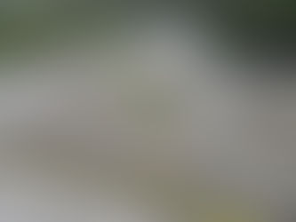 2024年8月27日 台風のコースは