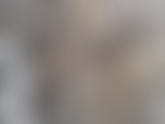 2024年3月10日 今年の渓流は調子が良い