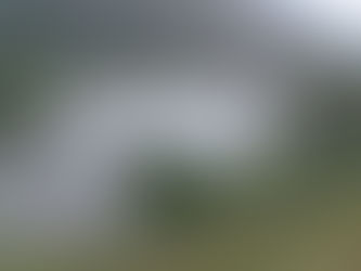 2025年8月26日 深夜の雨で上流は濁りが濃いめ