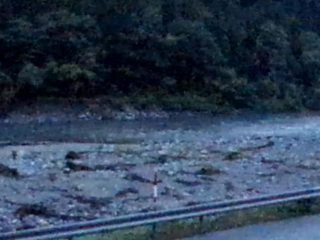 ２０２２年７月２７日　雨です　６時更新　７時２５分更新