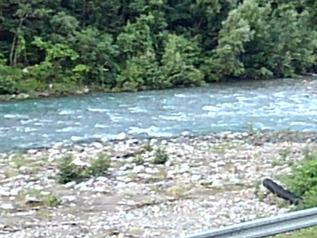 2023年7月4日 竿が出せる場所はあります 釣果更新