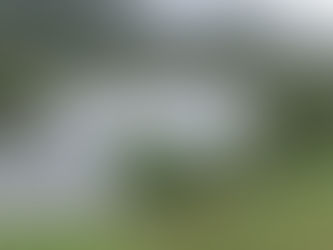 ２０２５年９月２７日　おとりは今月いっぱい