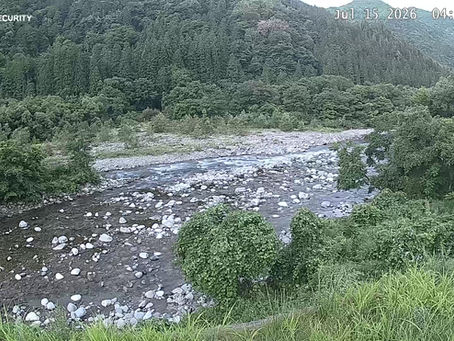 2026年7月15日 今日も暑くなります 釣果更新