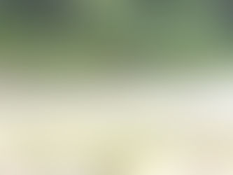 ２０２２年８月３０日　予報が変わり朝から雨です　２０時更新