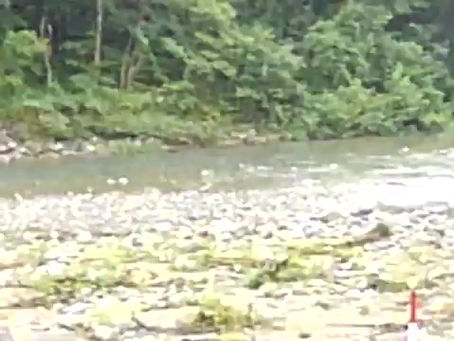 ２０２２年８月３０日　予報が変わり朝から雨です　２０時更新