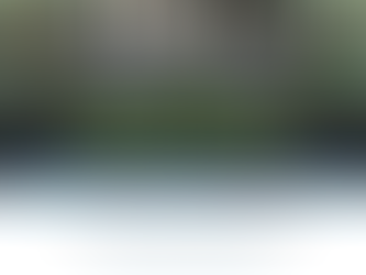 Oasis Auto Spa Groundbreaking | Coming to McKinney TX 2022