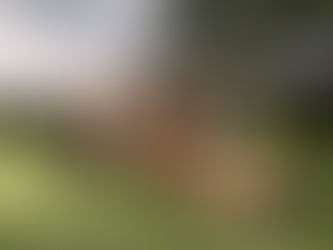 Invierte en parcelas y  rentabilízalas bajo un enfoque responsable y alineado con la naturaleza