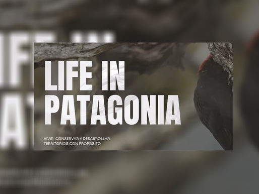 El origen de LIFE IN PATAGONIA: una forma de habitar los territorios