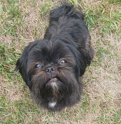 Marnie.jpg
