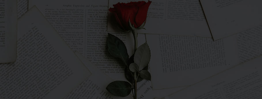 Single red rose on pages_edited_edited.jpg