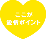 06.png