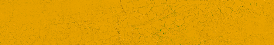 narciso-vetor-bg-amarelo.png