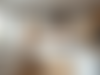 Transform Your Space with Expert Home and Business Remodeling