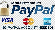Secure payment visa mastercard paypal
