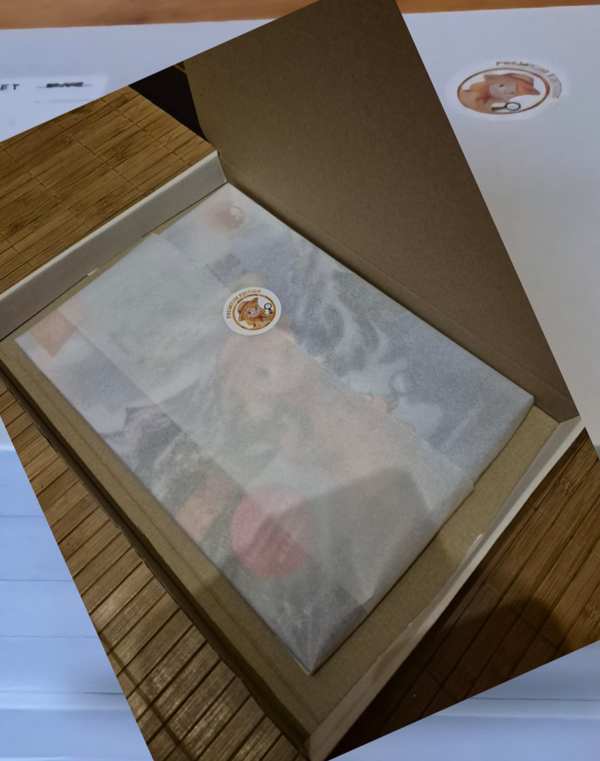 Das Buch in Seidenpapier im weißen Karton
