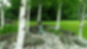 Bronze girl in birch garden_edited.jpg