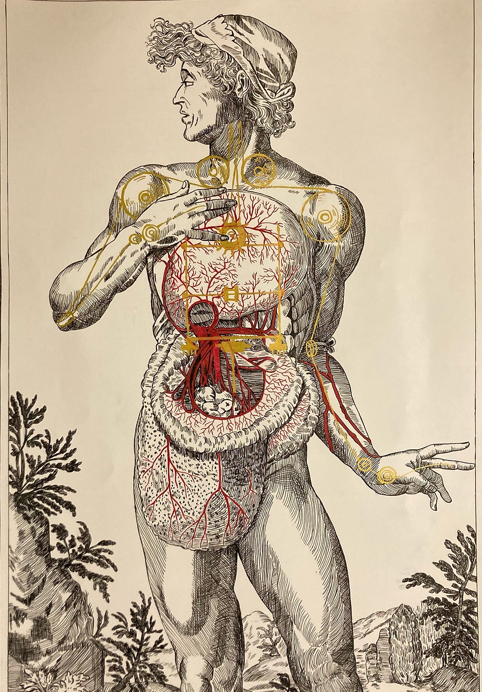 Hatched ink drawing of a Renaissance man opening his abdomen to show his organs. Overlaid is a gold drawing of Da Vinci's mechanical knight model.