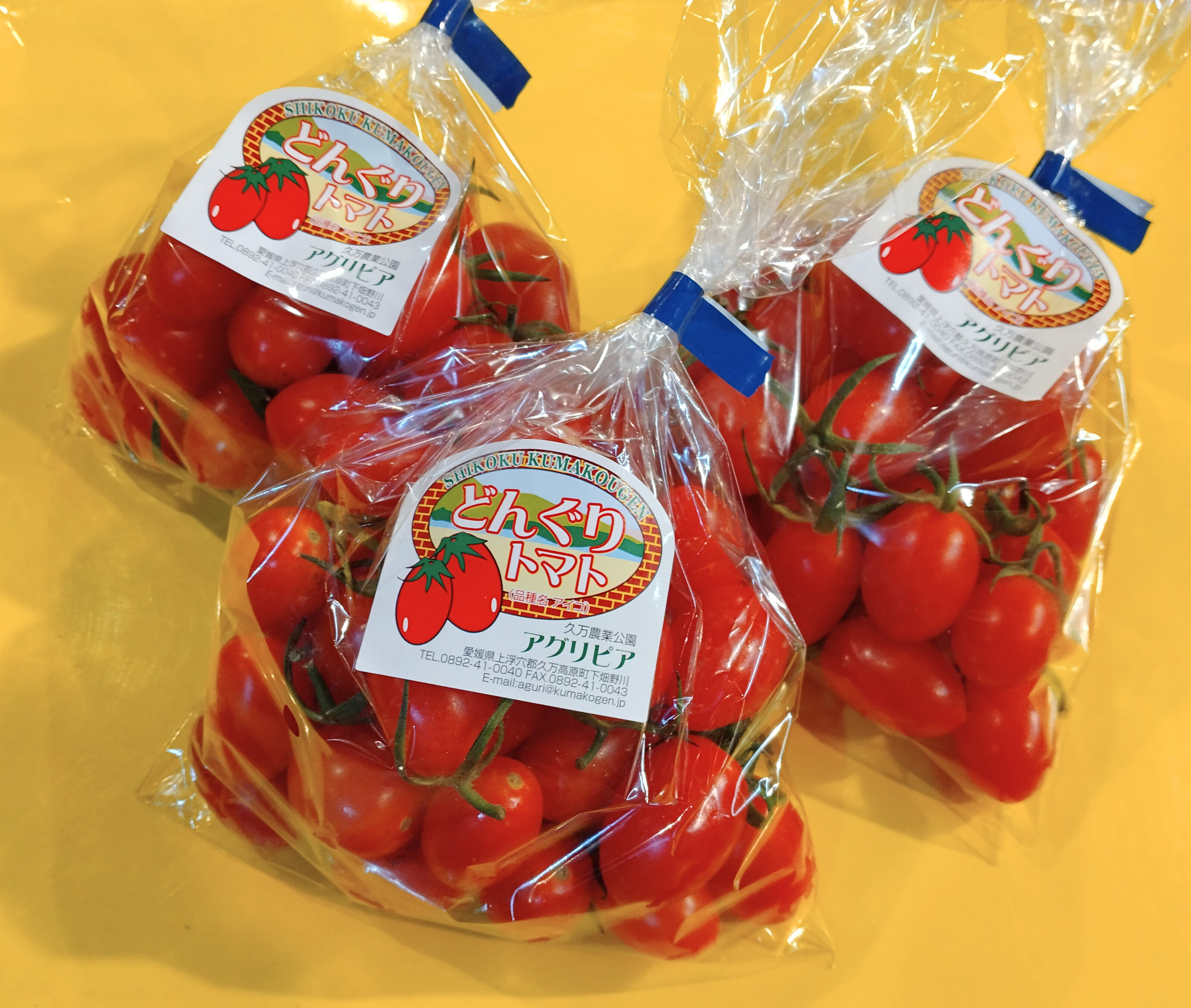 どんぐりトマト | 久万農業公園アグリピア