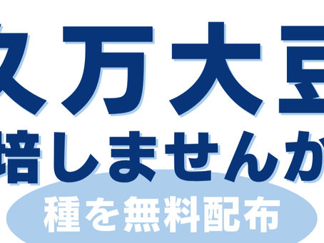久万大豆の種子を無料配布します。栽培しませんか?