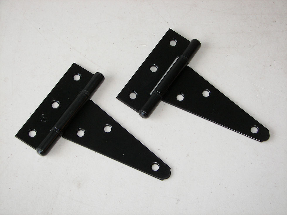 Shed Door 4in Hinges