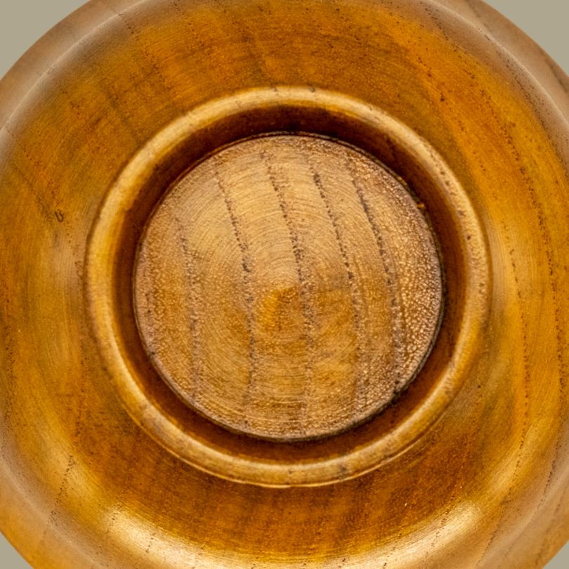 Thumbnail: Put Down Roots