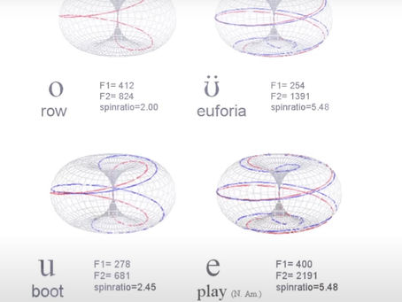 Toroidal Flow of Nouns