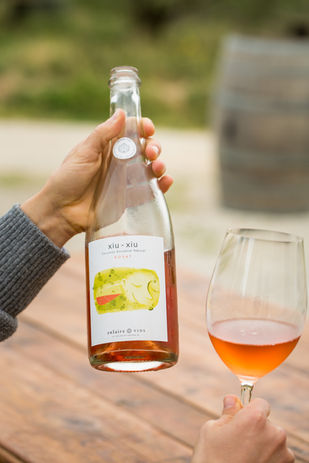 Wines of the Penedes