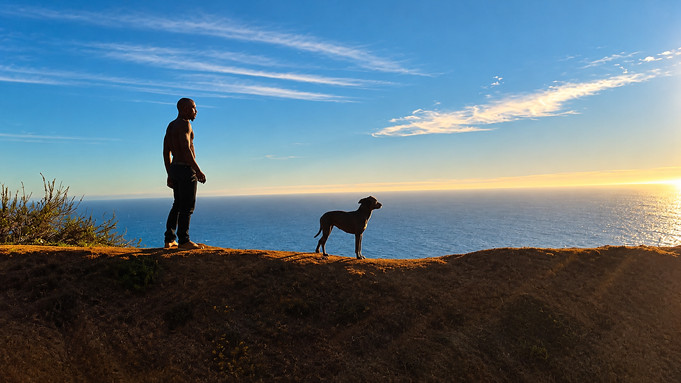 Man and dog overlooking the ocean