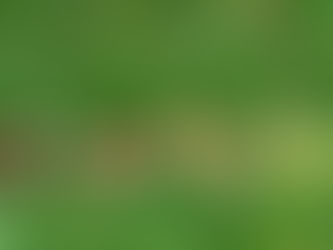 Not Just Small People: Seeing Children Clearly