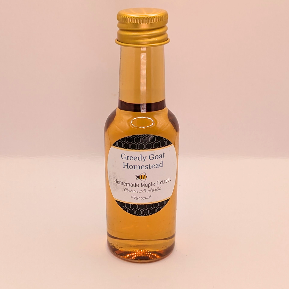 Website Maple ext.png