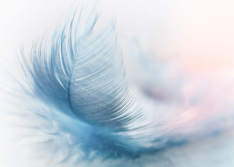 cérémonie laïque Plume