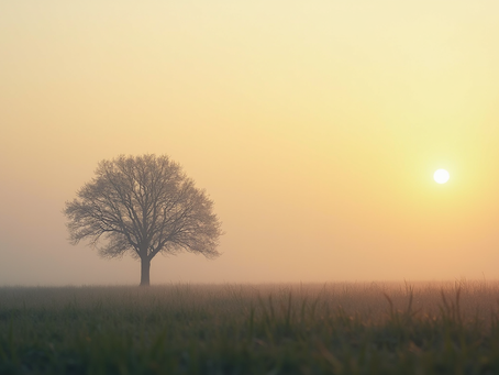 Finding Peace in God's Silence: Overcoming the Noise of Pain and Lies