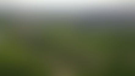 Five best parks for walking and jogging in Qatar