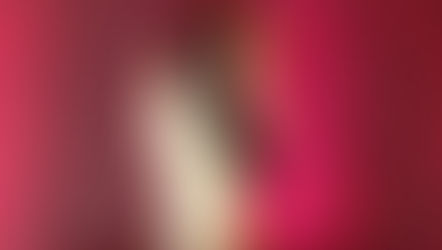 Amir Cup championship prize raised to QR 30 million