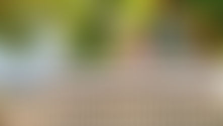 MoEHE unveils education strategies for academic year 2024-2025