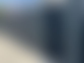 Sichtschutzzaunmodell GUARDIAN: Schönheit, Ruhe und Stärke in einem