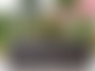 Pflanzkübel aus PE-Rattan: Die perfekte Kombination von Stil und Strapazierfähigkeit