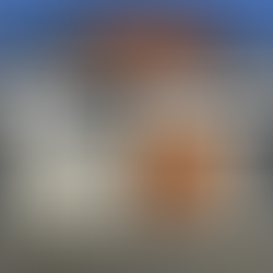 Zaunsystem mit Architekturbeton und Zaunfeld in Holzoptik