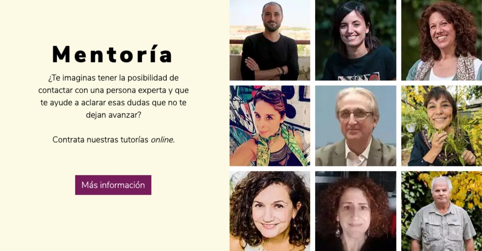 Servicio de Mentoría