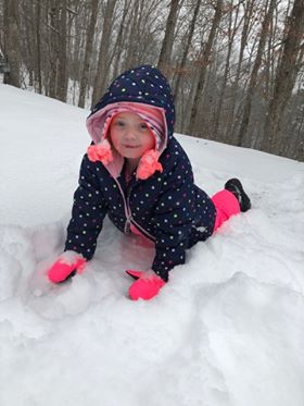 Submitted by Katie Chapman