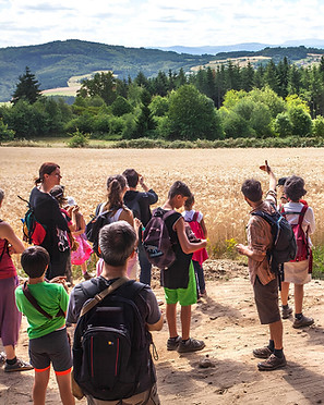 maison-amethysteOTPI-david-frobert (16).jpg