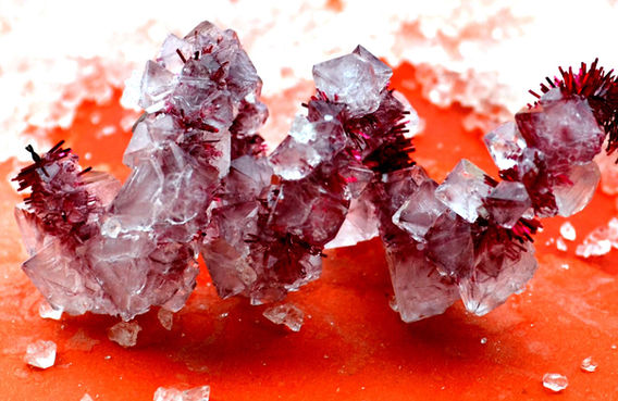 expérience fabrique tes cristaux.jpg