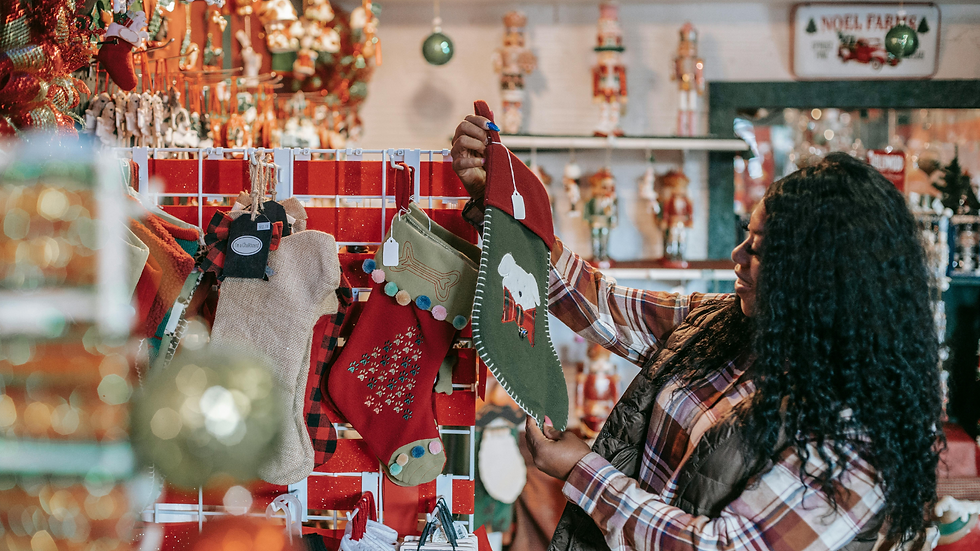 Southwater Christmas Festival